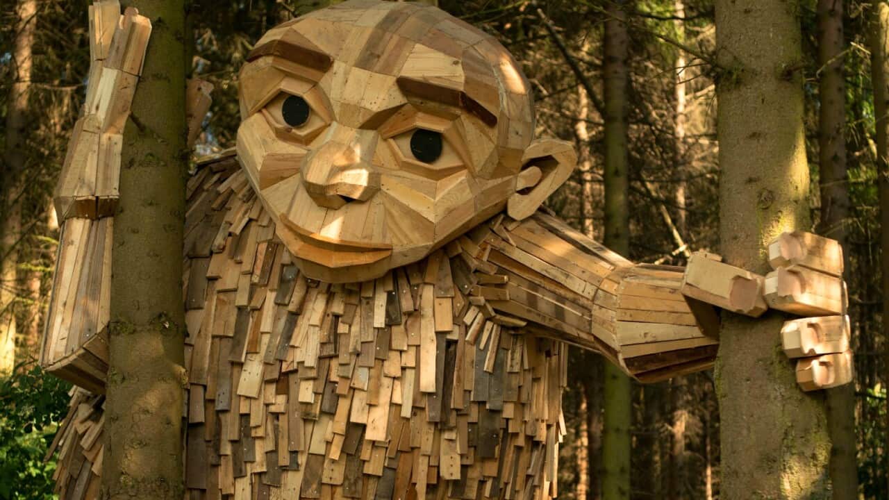 Artist makes wooden giants in Denmark's forests