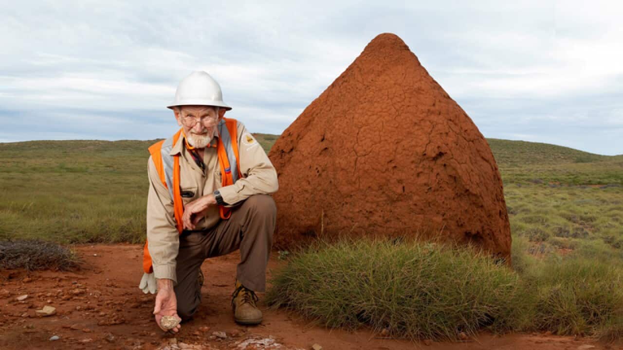 Conservationist and former TV show host William Henry "Harry" Butler
