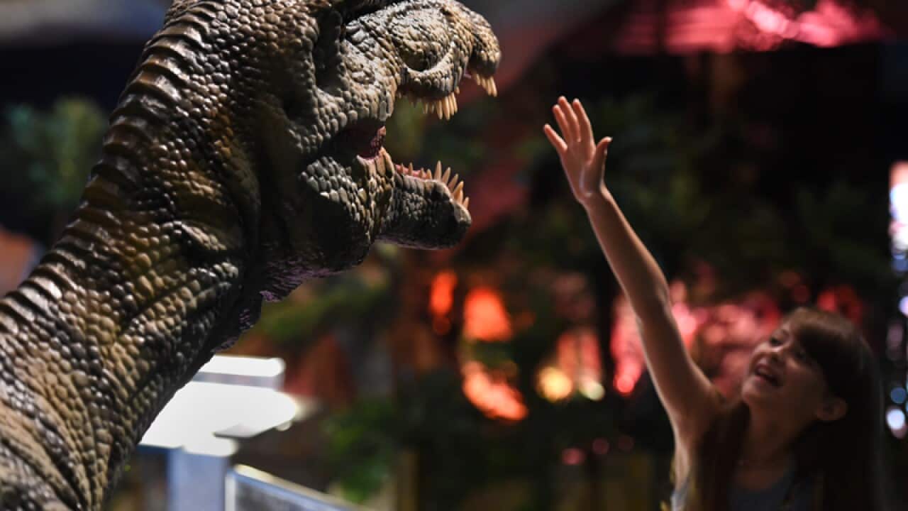 A girl tries to reach a baby Spinosaurus display in Brisbane