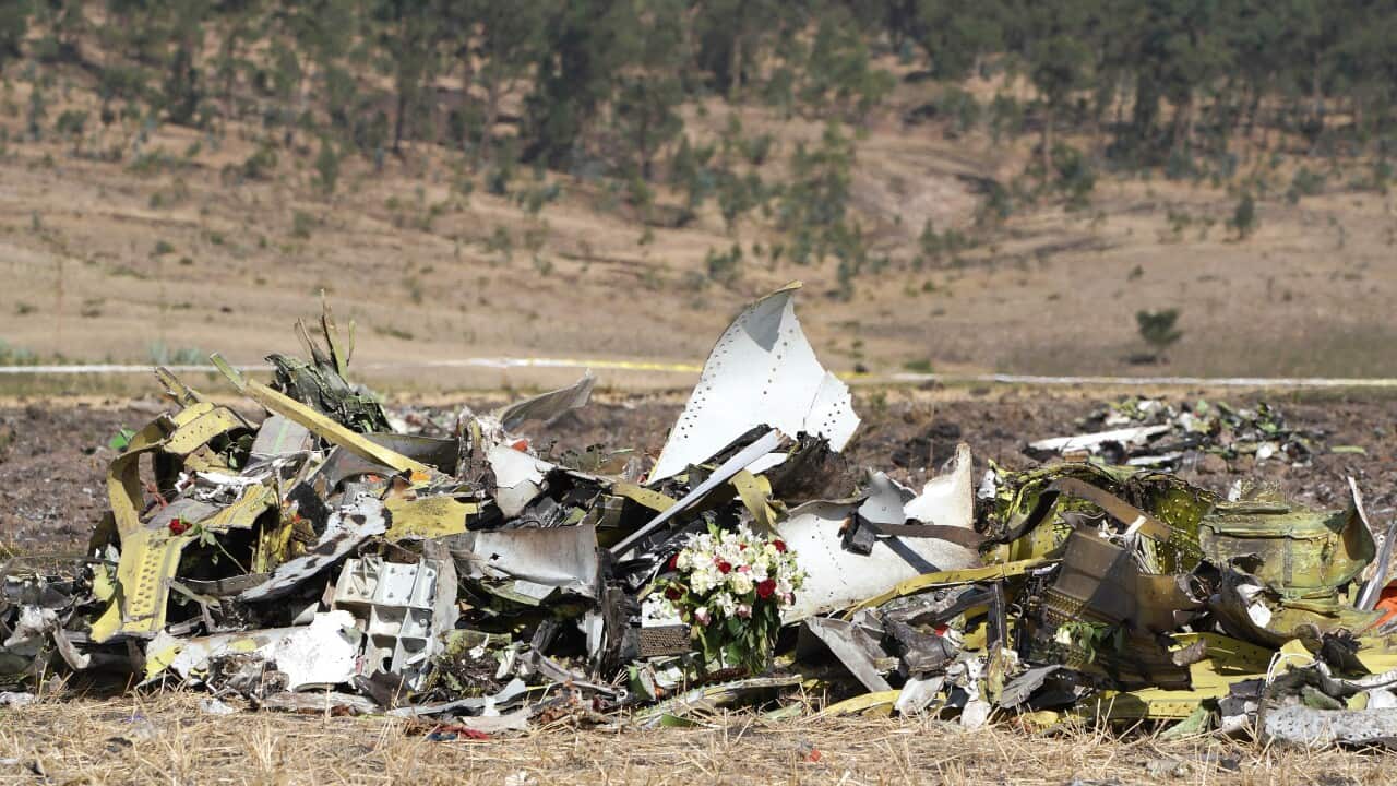 The debris left behind by a plane crash in a dry looking grassland environment.