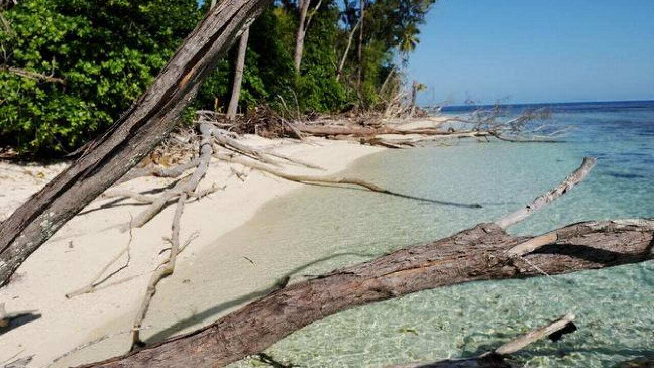 seychelles coast - B_805380246