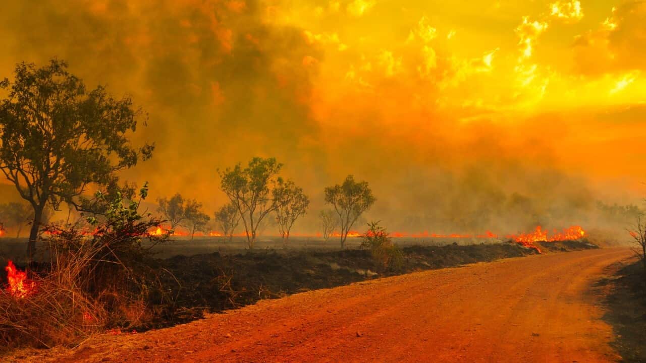Bushfire in Australia - Getty Images