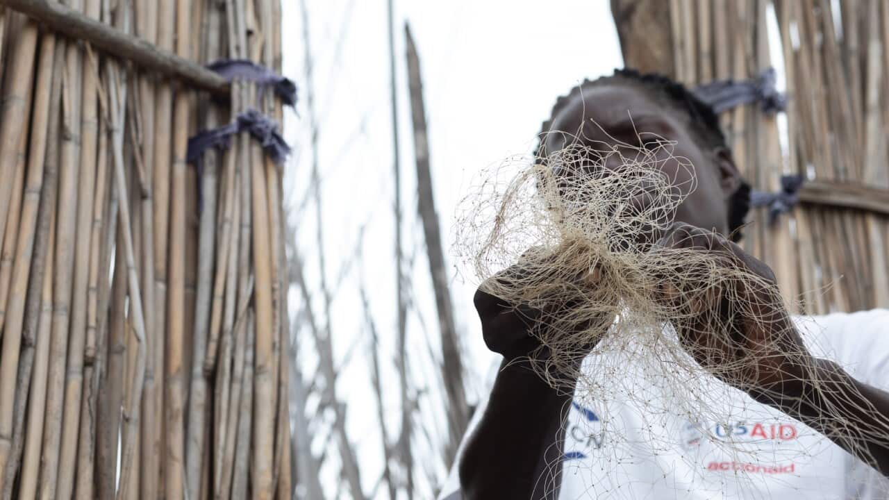 Dal 2023 ActionAid interviene sulla pratica del sex-for-fish e altre forme di violenza di genere nel settore della pesca nella Provincia Occidentale dello Zambia. .jpeg