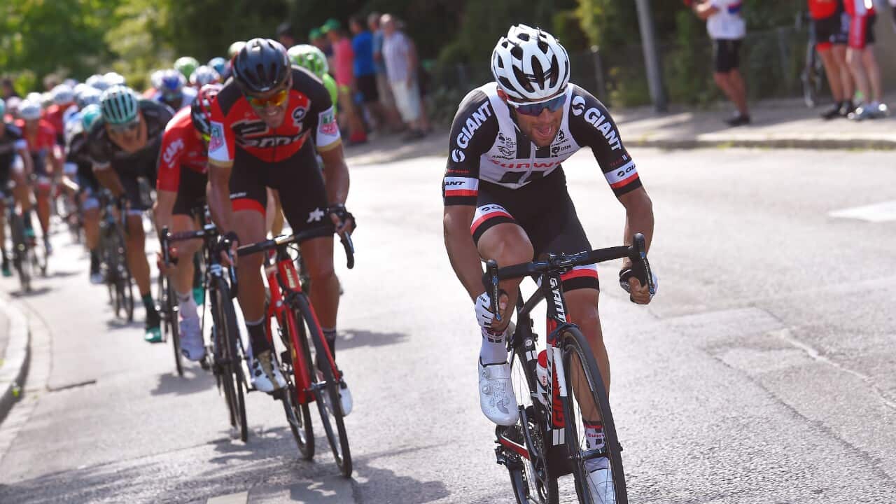 Michael Matthews, Sunweb, Tour de France 2017