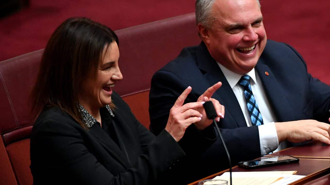 Senator Jacqui Lambie (left) and Central Alliance Senator Stirling Griff are seen in the Senate during the start of the 46th Parliament at Parliament House in Canberra, Tuesday, 2 July 2019. (AAP Image/Sam Mooy) NO ARCHIVING