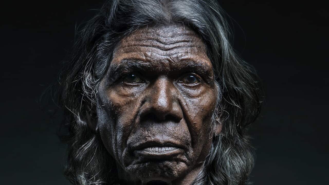David Gulpilil.jpg