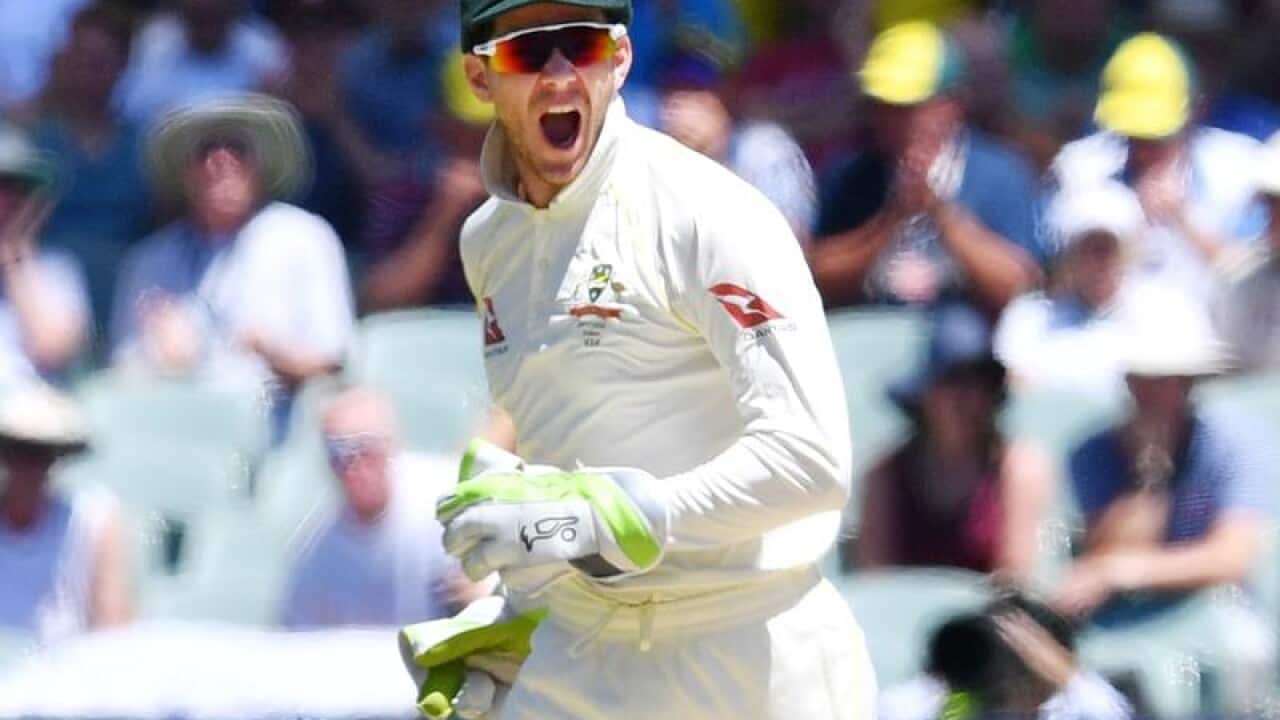 Australian wicketkeeper Tim Paine