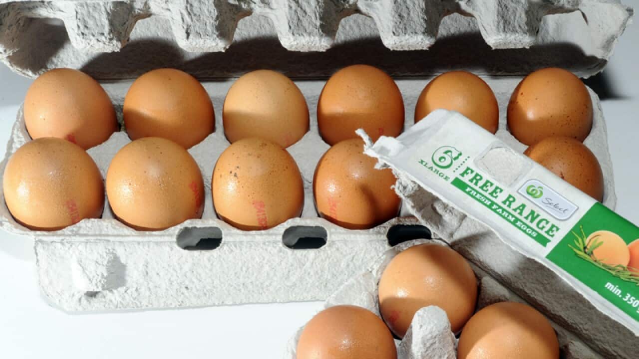 Free range and caged eggs