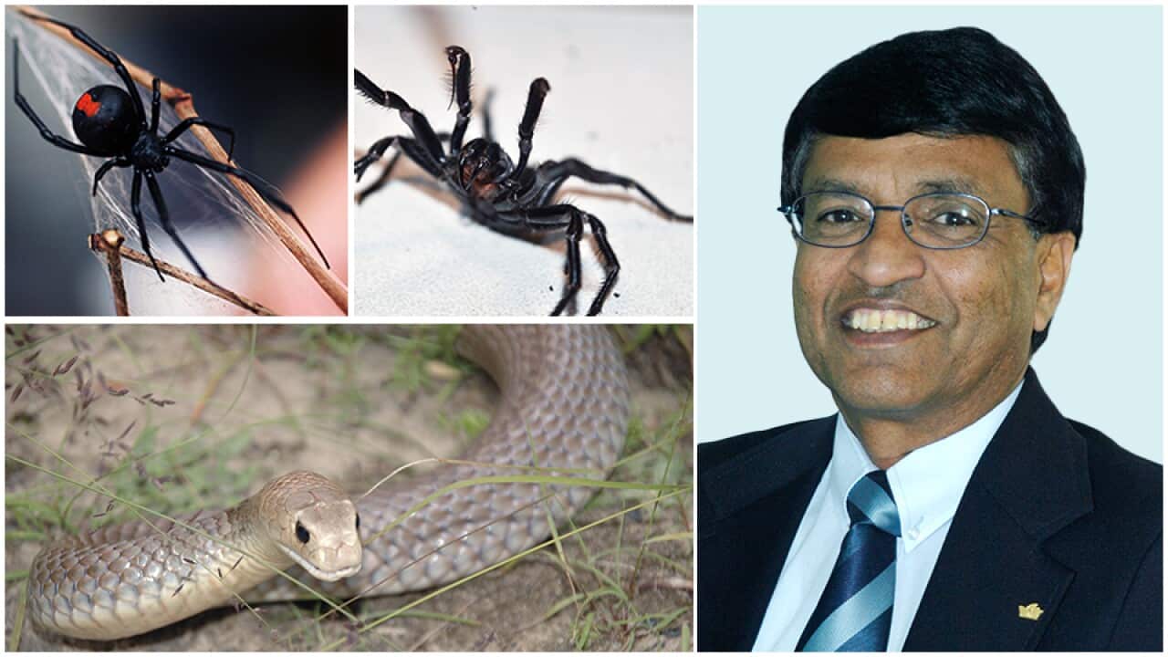 Image for read more article 'READ MORE'