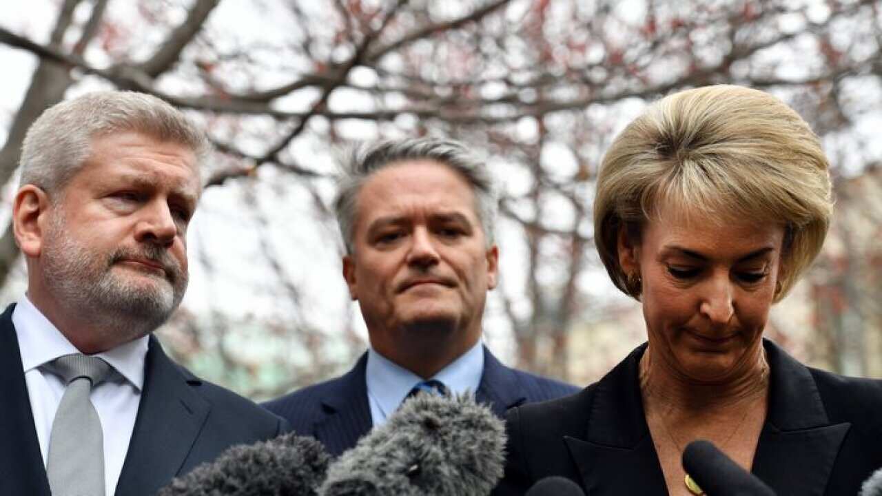 Image for read more article ''