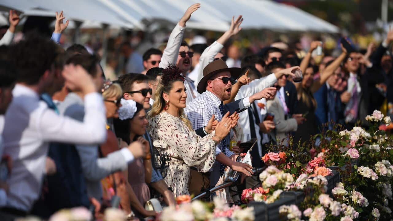 SG MELBOURNE CUP racegoers