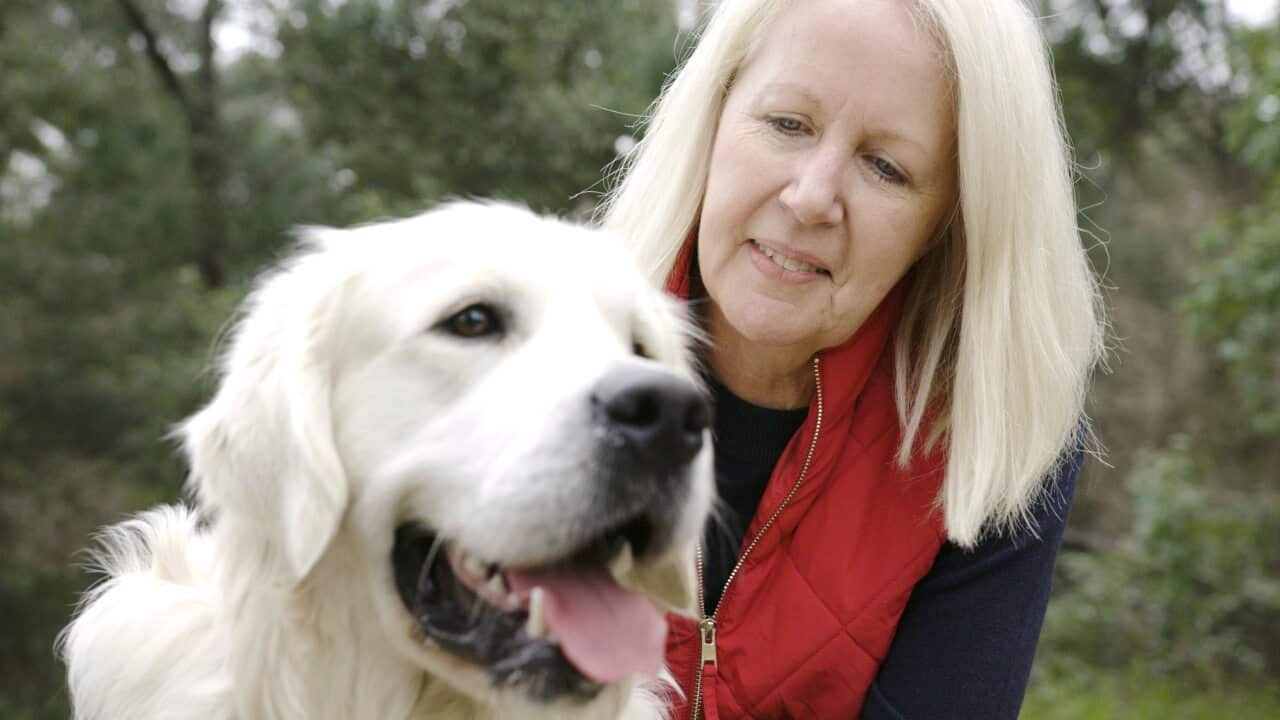 Image for read more article 'مطالب بیشتر'