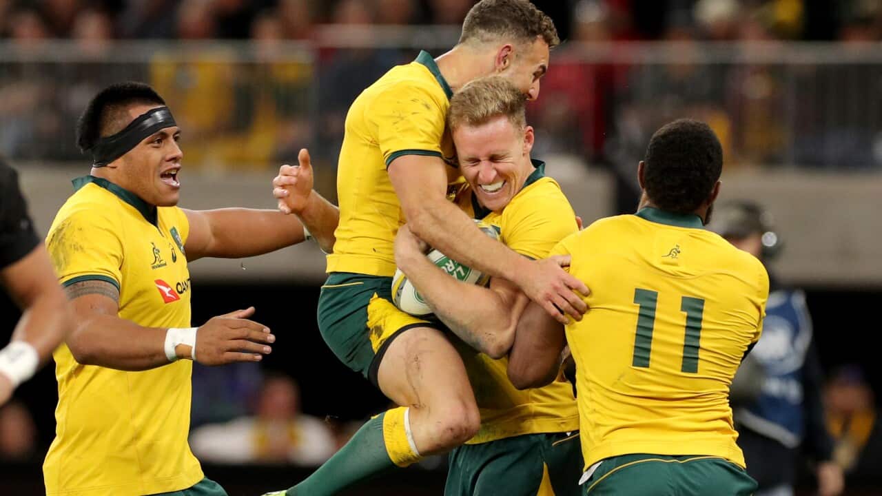 Reece Hodge of the Wallabies is congratulated by teammates after scoring a try during the Bledisloe Cup