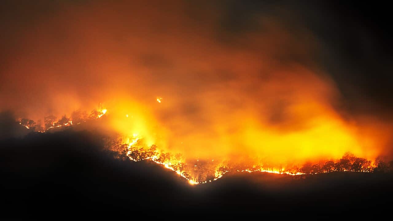 Image for read more article 'READ MORE'