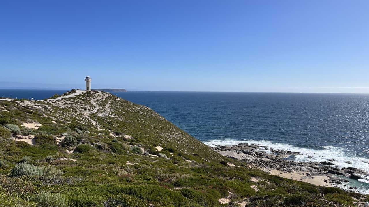 YORKE PENINSULA STOCK