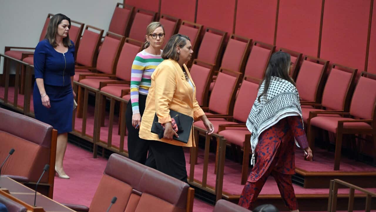 SENATE QUESTION TIME