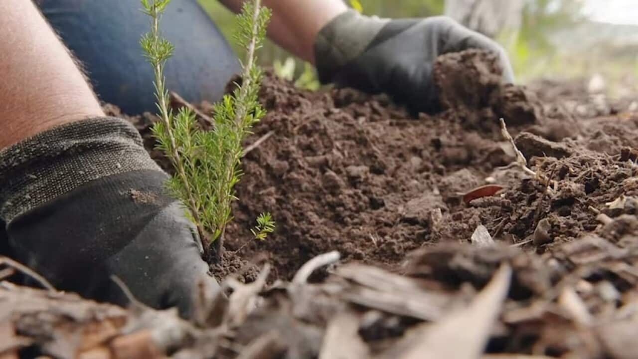 soil ABC.jpg