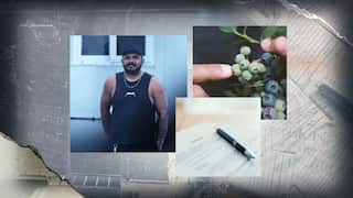 A layered graphic showing a picture of a Timorese man wearing a black singlet, alongside a photo of a blueberry bush and an employment contract.