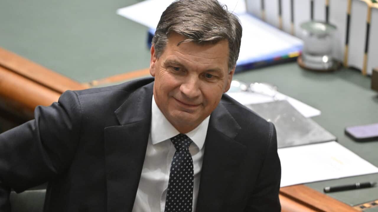 Angus Taylor in a black suit in the House of Representatives