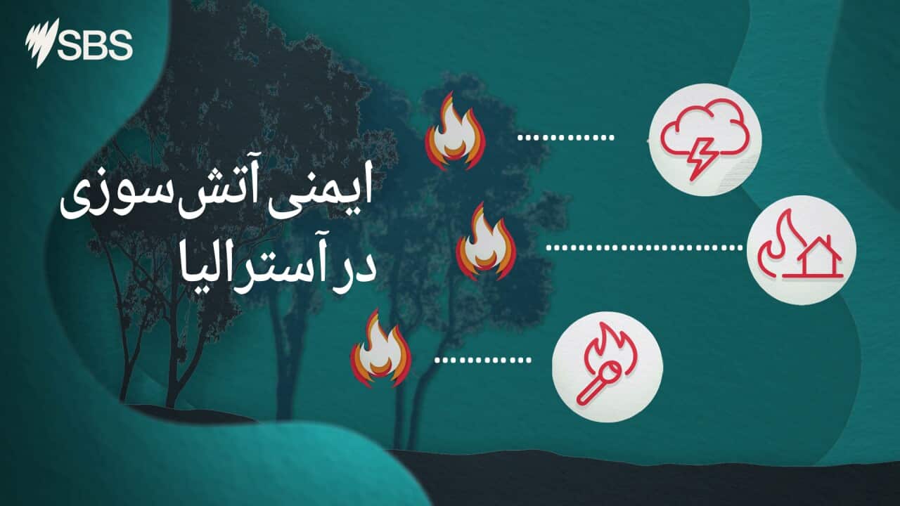 Image for read more article 'بیشتر بخوانید'