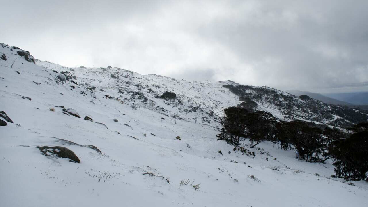 WEATHER THREDBO SNOW