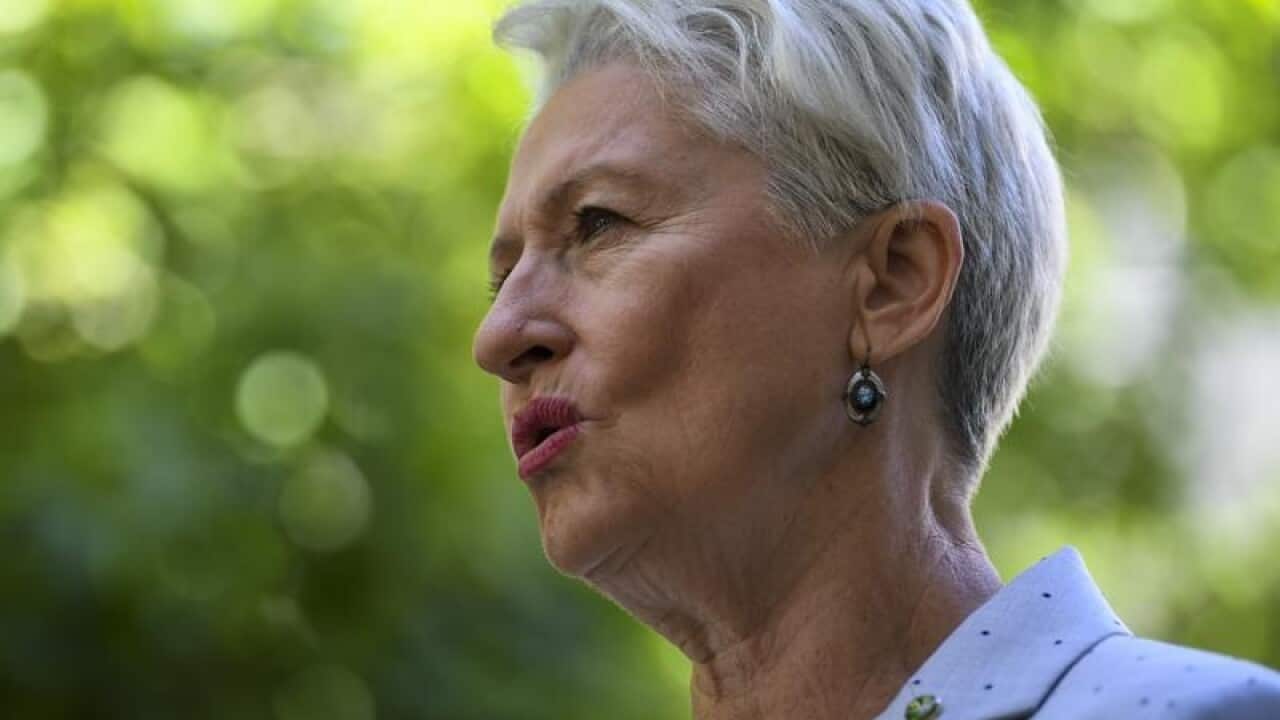 Independent Kerryn Phelps says pre-poll voting should be restricted to one week, not three weeks.