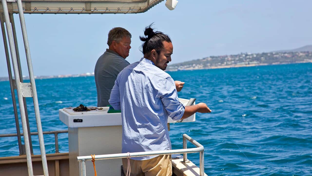 Adam Liaw gone fishin'