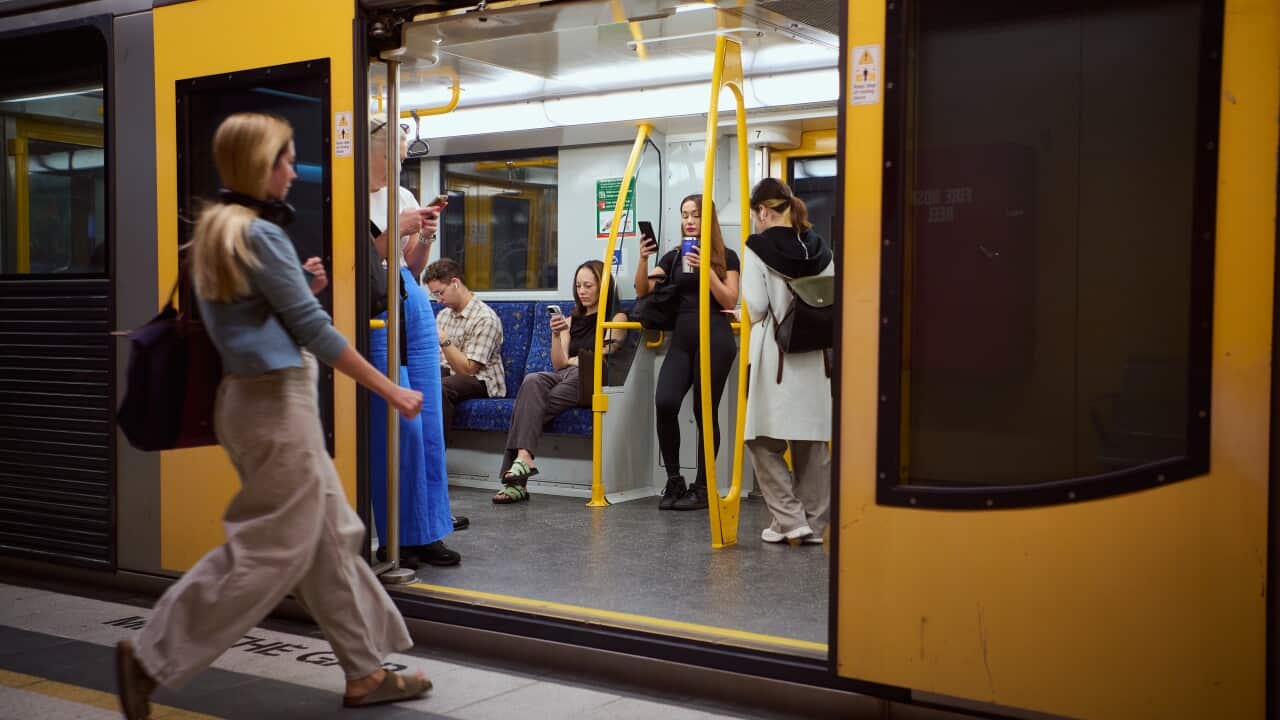 PUBLIC TRANSPORT STOCK SYDNEY