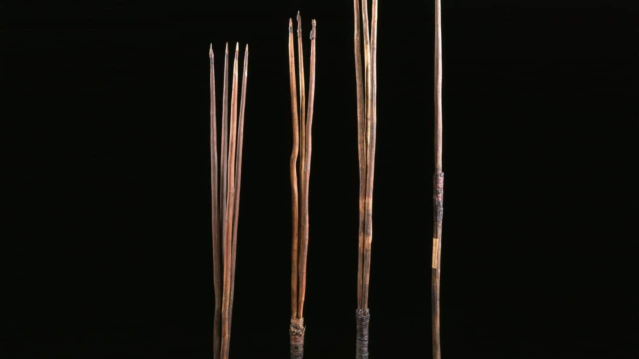 The four surviving spears in the MAA collection (Museum of Archaeology and Anthropology, University of Cambridge).jpg
