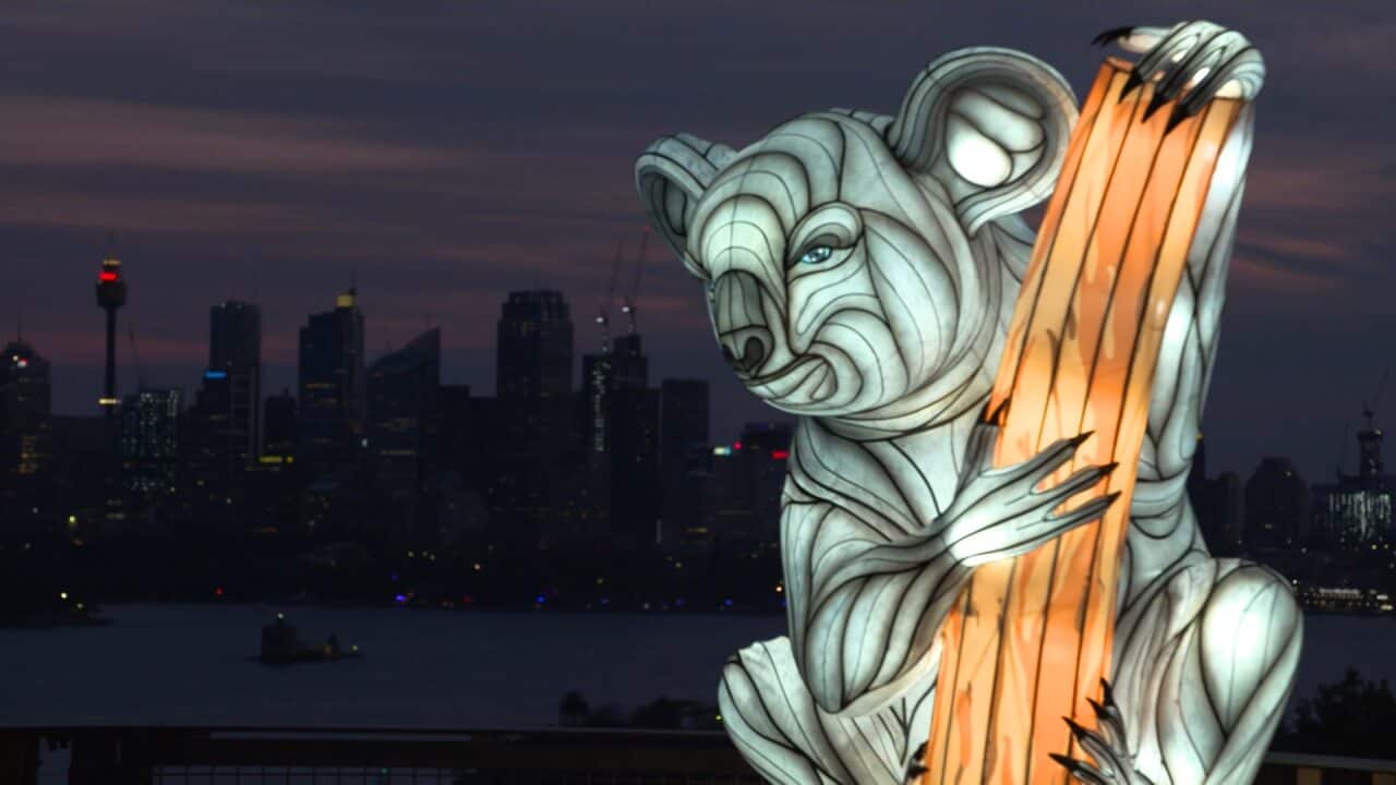 Image for read more article 'READ MORE'