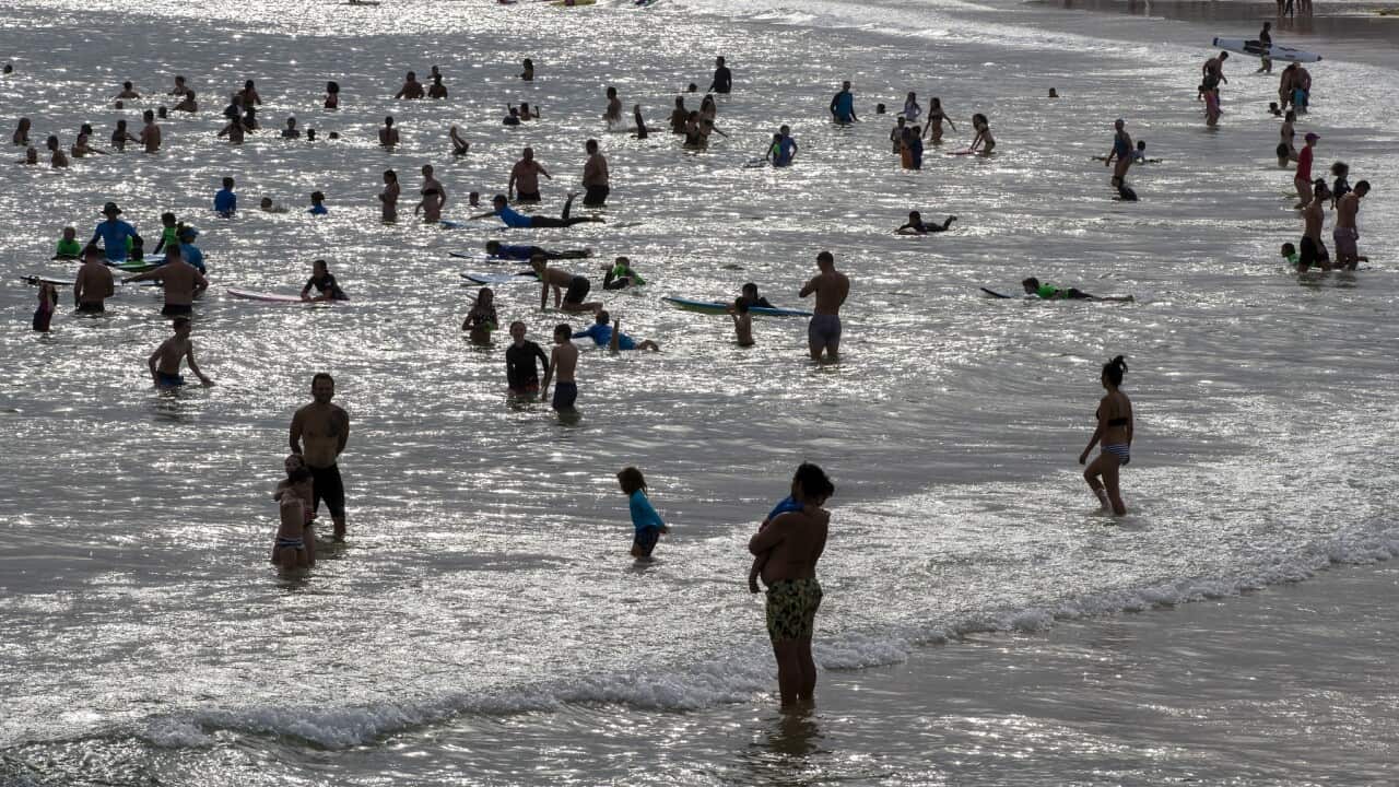 People enjoy a late afternoon swim at Sydney's Bondi Beach