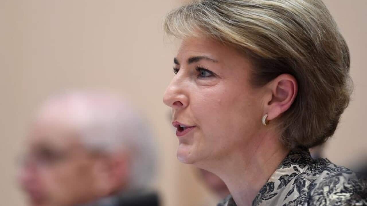 Employment Minister Michaelia Cash