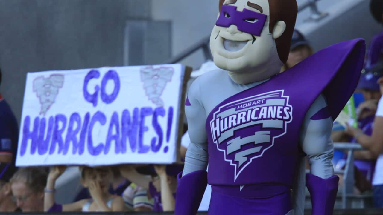 Hobart Hurricanes Mascot seen before a BBL match.