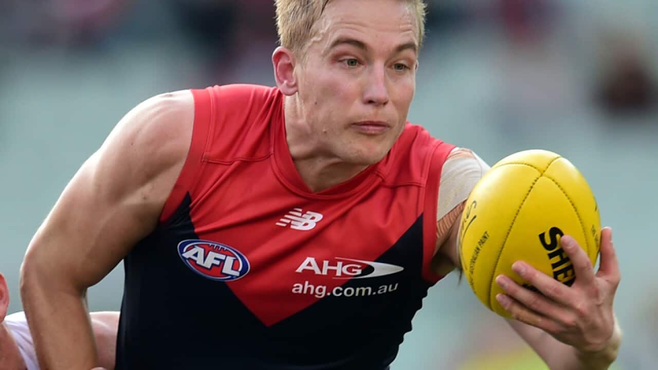 St Kilda Saints player David Armitage