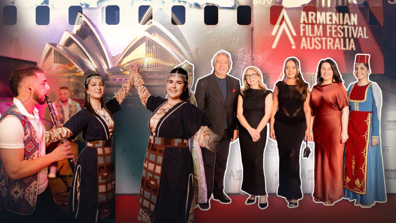 PETRA HEADER 17.png