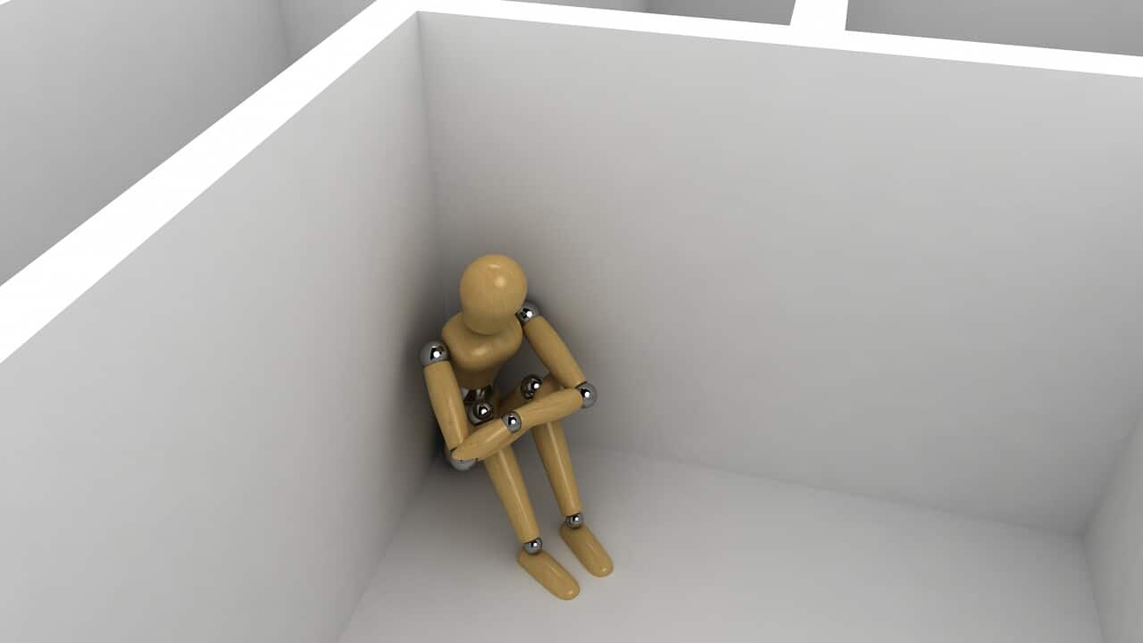 Insight Shame web.jpg