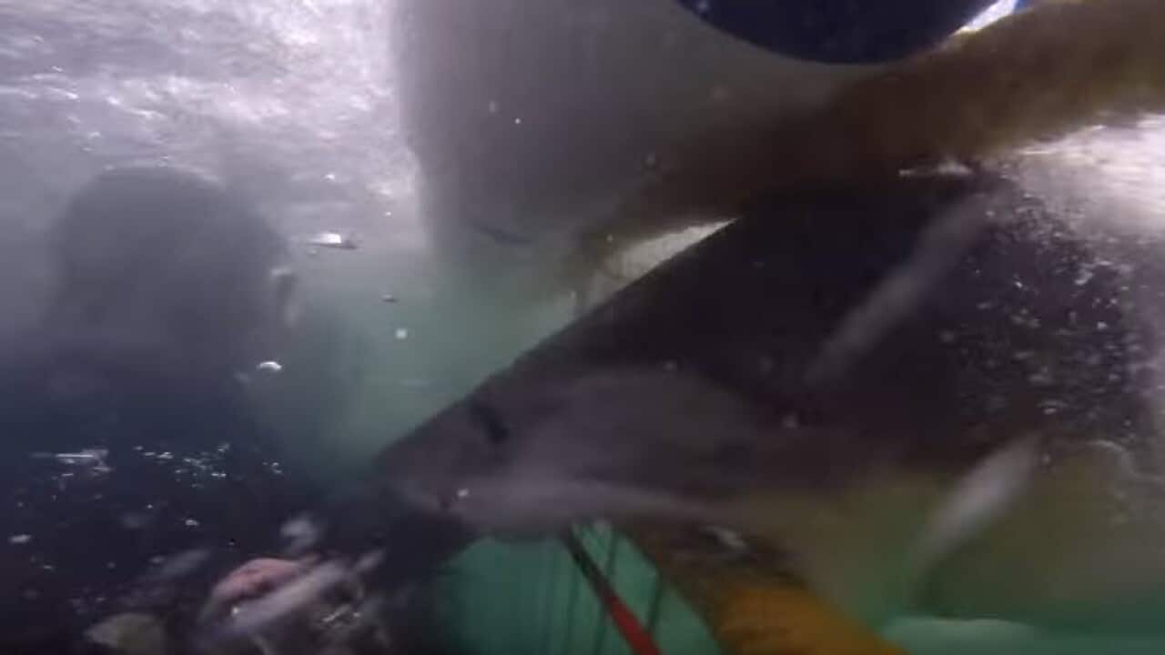 A bit too close for comfort. (YouTube)