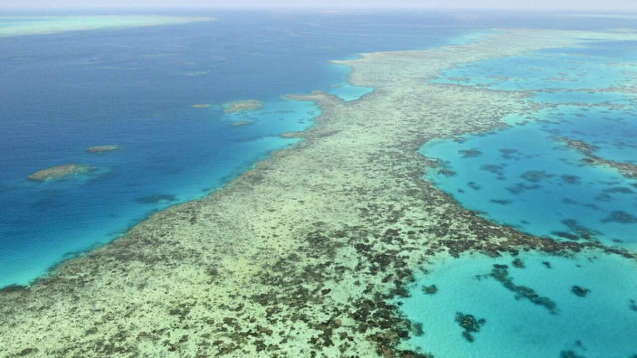 Great Barrier Reef off the northeastern coast of Australia in December 2017