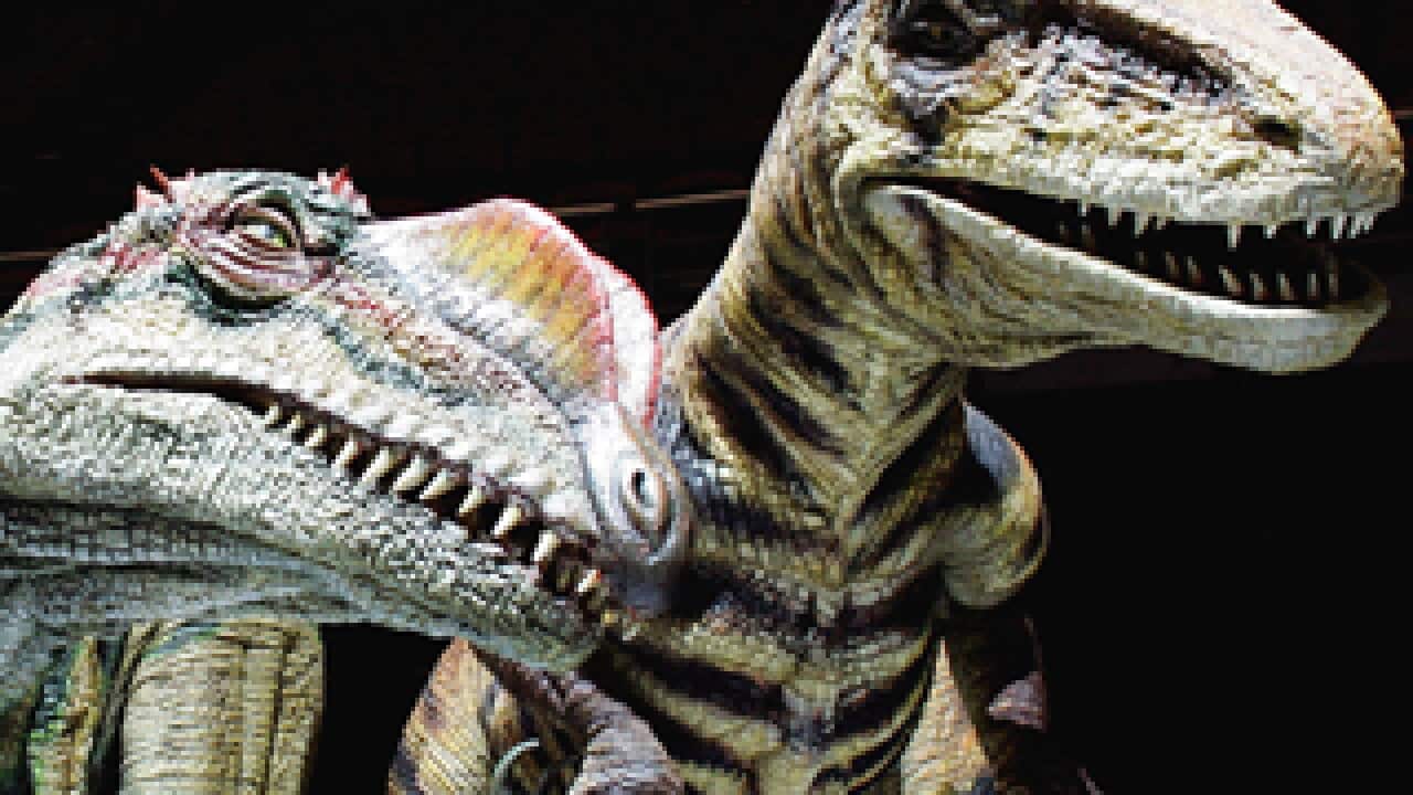Dinosaurs (AAP)