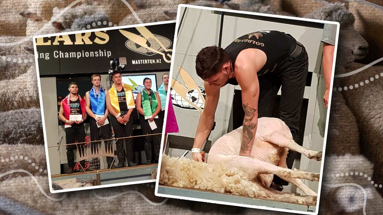 Tyron shearing comp web hero.jpg