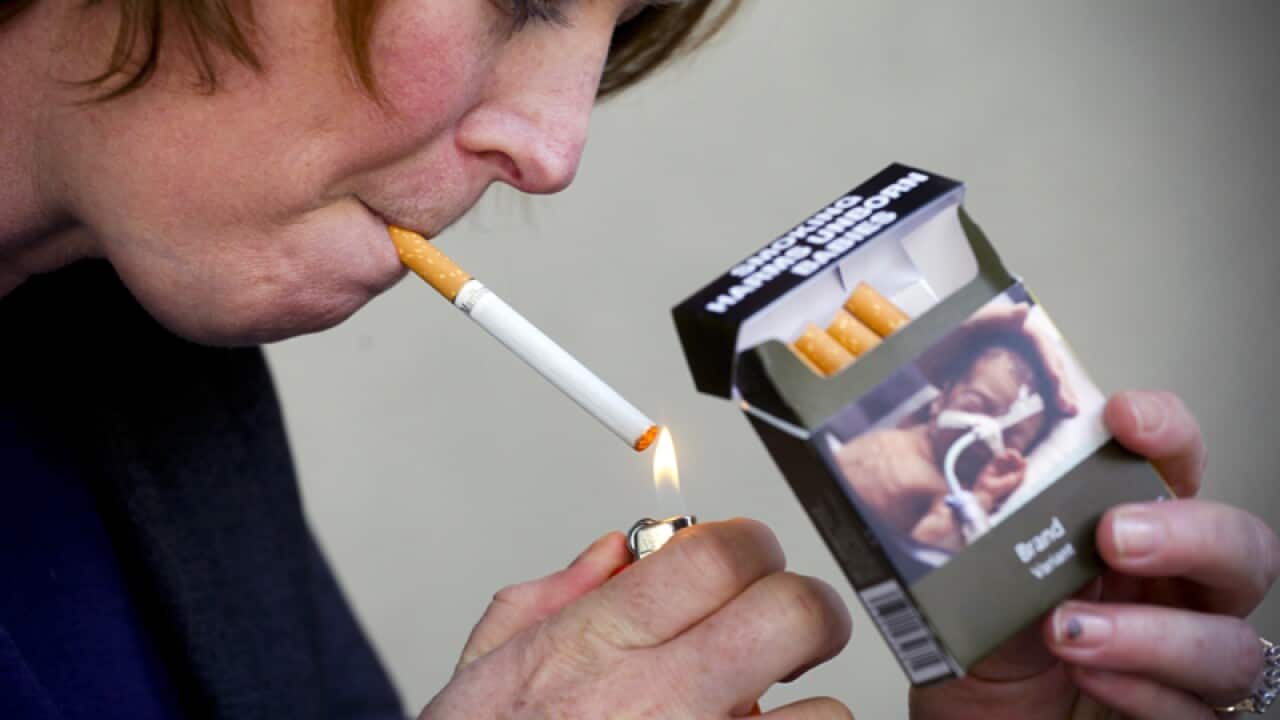 marlboro gold rolling tobacco Marlboro gold light premium hand rolling tobacco 60g Stock Photo marlboro gold rolling tobacco Marlboro gold light premium hand rolling tobacco 60g Stock Photo