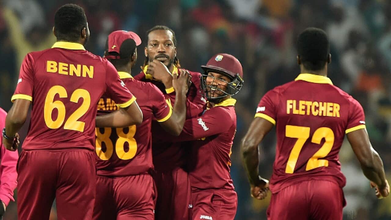 West Indies's Chris Gayle (C) celebrates with teammates after taking the wicket of South Africa's batsman David Miller during the World T20 cricket tournament
