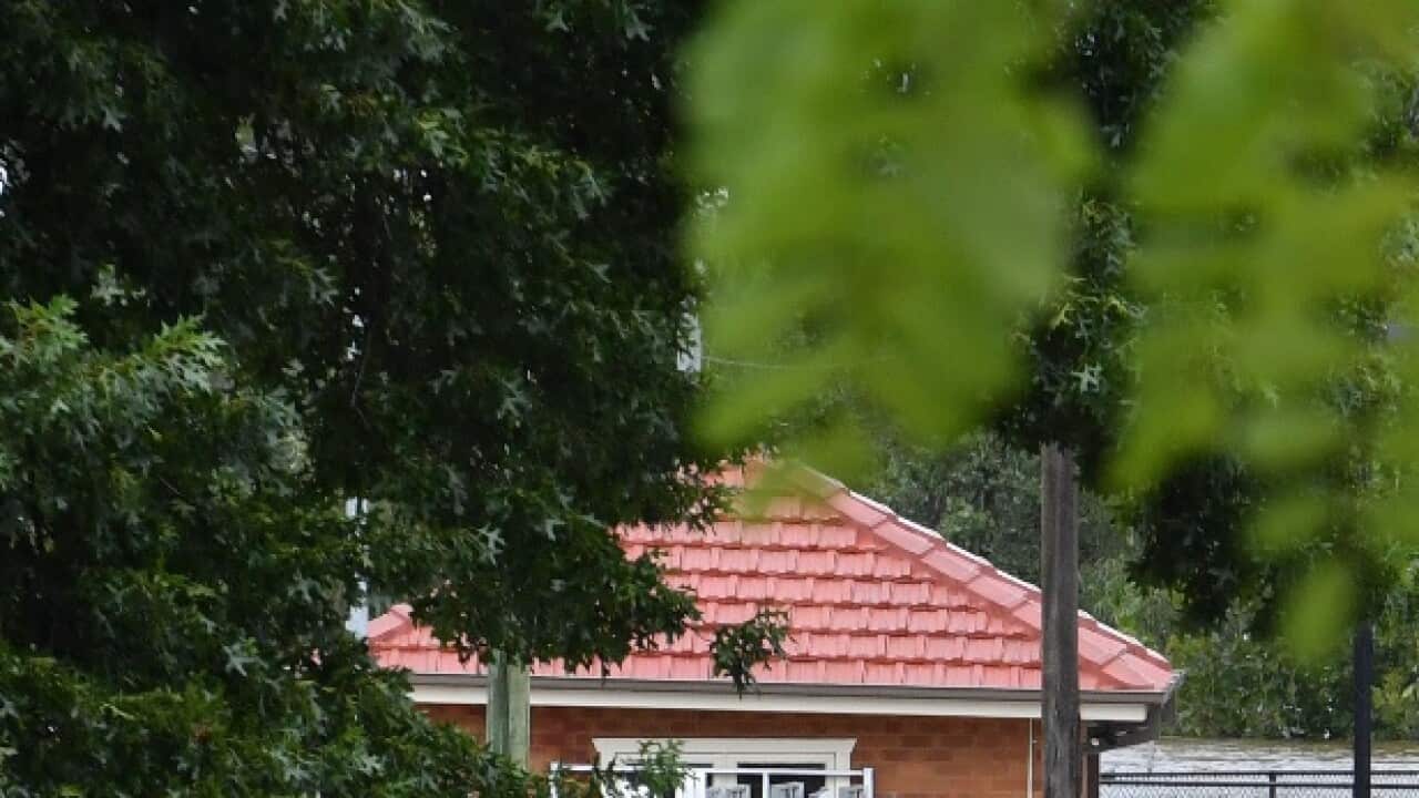 News and Current affairs