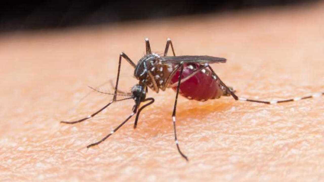 Japanese encephalitis virus is spreading in Australia