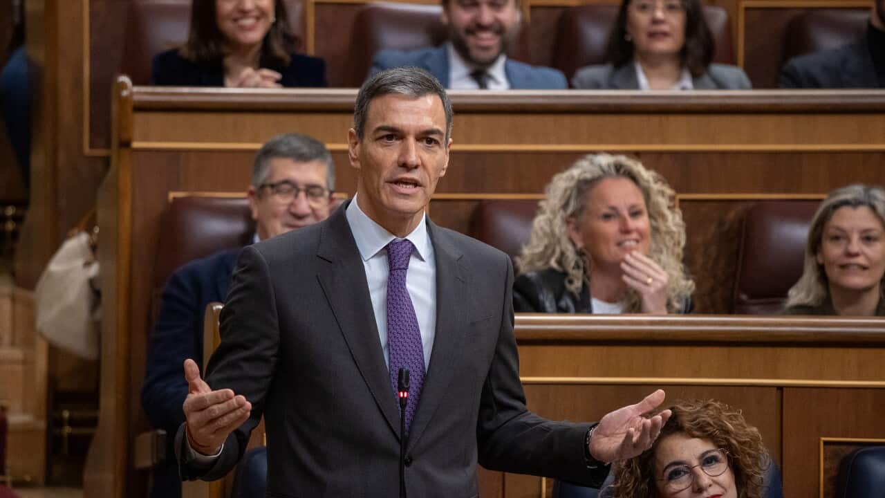 Pedro Sánchez, Plenary Session of Congress - 25 Feb 2026