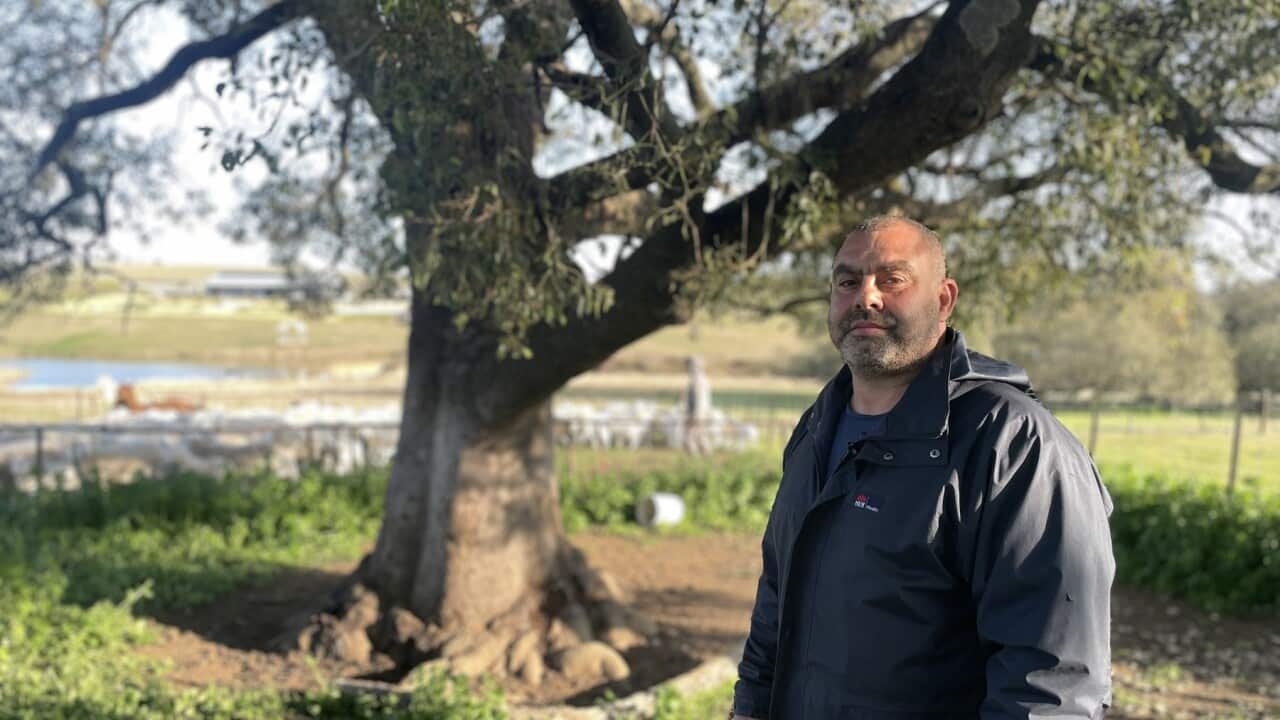 Image for read more article 'READ MORE'