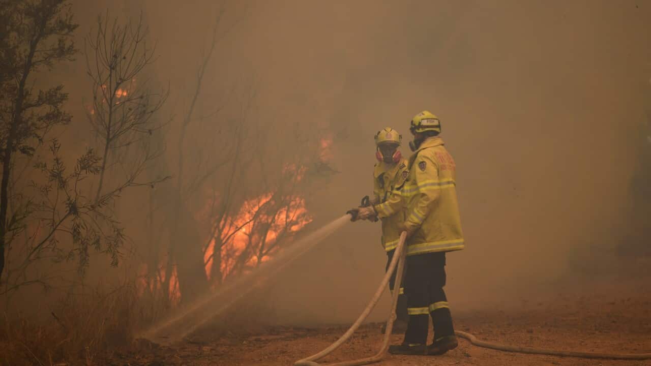 Fire crews at the out-of-control Gospers Mountain fire in December 2019