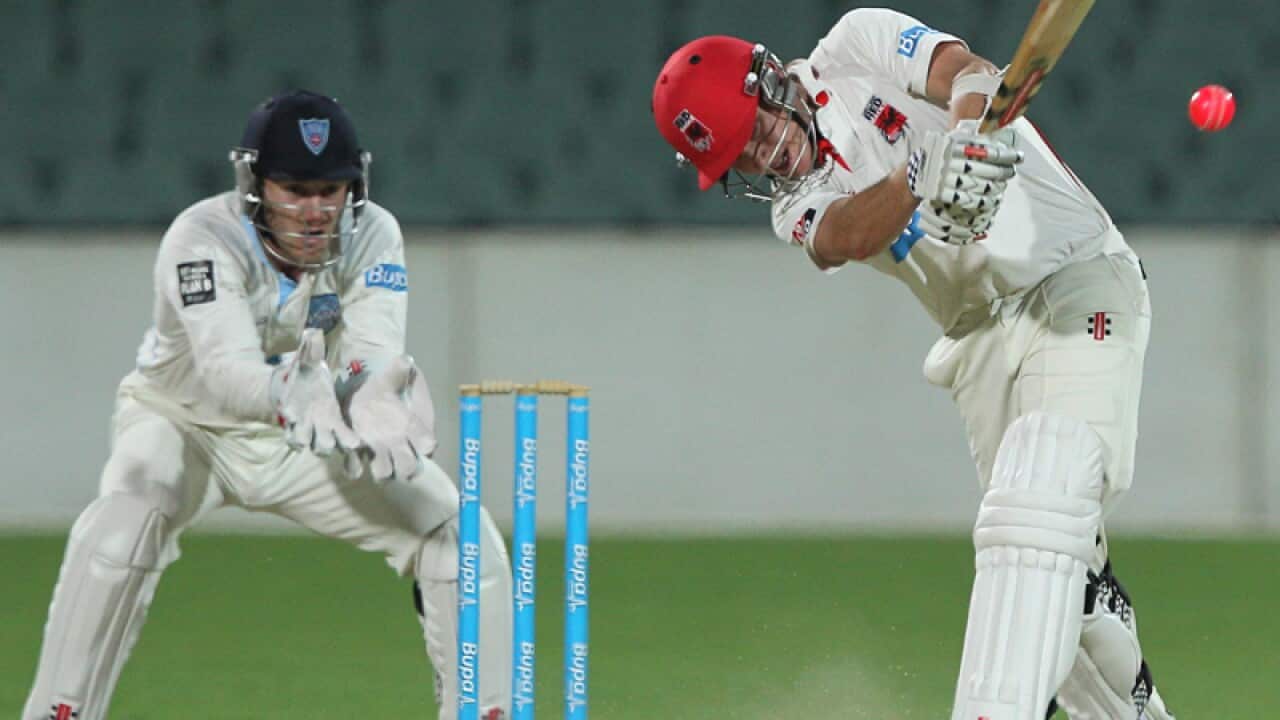 Adam Zampa of the Redbacks