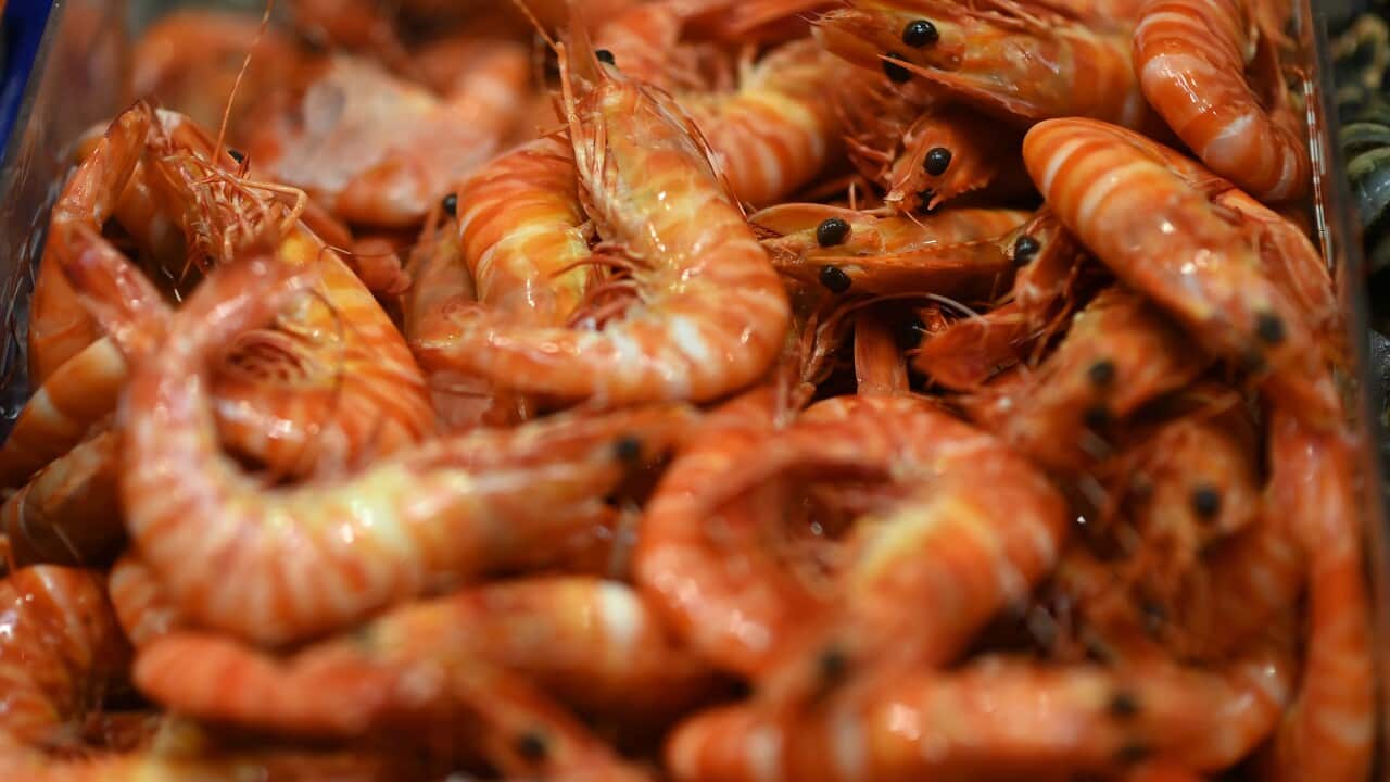 MELBOURNE CHRISTMAS FISH MARKETS