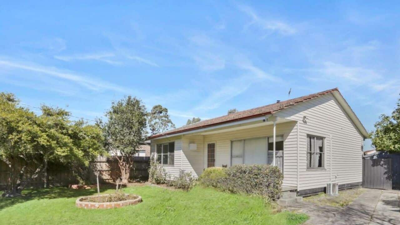 Image for read more article ''